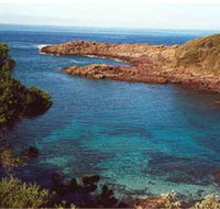 Bass Point Reserve - Palm Beach Accommodation