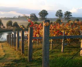 Roses Vineyard At Innes View - Palm Beach Accommodation 2