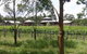 Roses Vineyard At Innes View - thumb 3