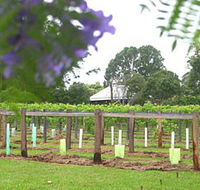 Douglas Vale Historic Homestead  Vineyard - Palm Beach Accommodation