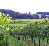 Banjo's Run Winery and Vineyard - Palm Beach Accommodation