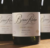 Briar Ridge Vineyard - Palm Beach Accommodation