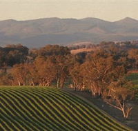 Angullong Wines - Palm Beach Accommodation