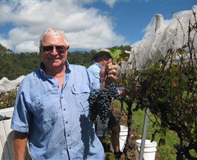 Razorback Ridge Wines - Palm Beach Accommodation 8