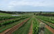 Razorback Ridge Wines - thumb 1