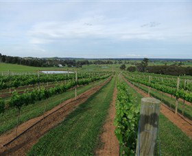 Razorback Ridge Wines - Palm Beach Accommodation 1
