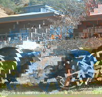 Lake George Winery - Palm Beach Accommodation