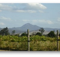 Ironbark Ridge Vineyard - Palm Beach Accommodation