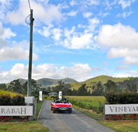 Sarabah Estate Vineyard - Palm Beach Accommodation