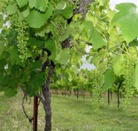 Holland Wines - Palm Beach Accommodation