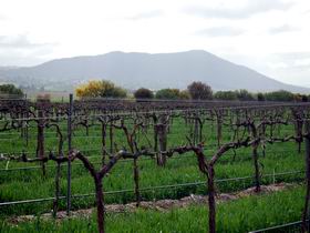 Remarkable View Wines - Palm Beach Accommodation 1