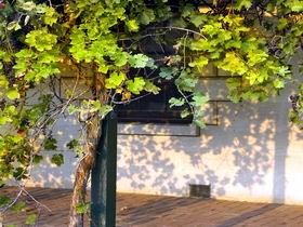 South East And Limestone Coast SA Palm Beach Accommodation