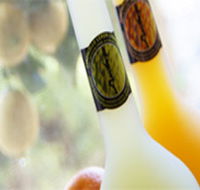 Ambra Limoncello - Palm Beach Accommodation