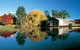 Balnaves Of Coonawarra - thumb 0