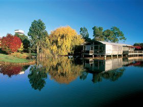 Balnaves Of Coonawarra - Palm Beach Accommodation 0