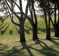 Henry's Drive Vignerons - Palm Beach Accommodation