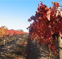 Kooyonga Creek Wines - Palm Beach Accommodation