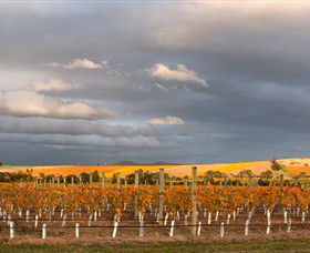 Coombe Yarra Valley - Palm Beach Accommodation 1