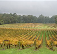 Boat O'Craigo Wines - Palm Beach Accommodation