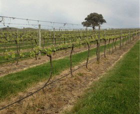 Indigo Vineyard - Palm Beach Accommodation 1