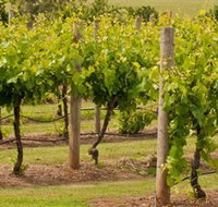 Mt Coghill Vineyard - Palm Beach Accommodation