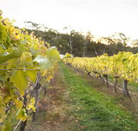 Harcourt Valley Vineyards - Palm Beach Accommodation