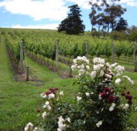 Pembroke Estate Vineyard - Palm Beach Accommodation