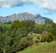 Lake Barrington Vineyard - Palm Beach Accommodation