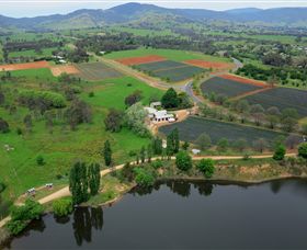 Schmidts Strawberry Winery - Palm Beach Accommodation 3