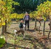 Little River Wines of Taggerty - Palm Beach Accommodation