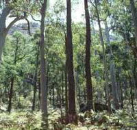 Cathedral Range State Park - Palm Beach Accommodation