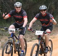Trailhead Bike Co. - Palm Beach Accommodation