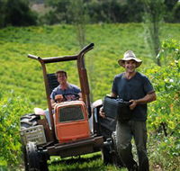 Kellybrook Winery Kelly Brothers Cider  Riders Brew Co. - Palm Beach Accommodation