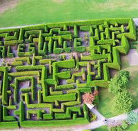 Hedgend Maze and Healesville Laser Sport - Palm Beach Accommodation