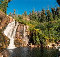 Steavenson Falls Marysville - Palm Beach Accommodation