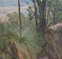 Mount Lawson State Park - Palm Beach Accommodation