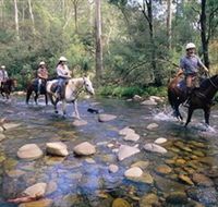 Howqua Hills Historic Area - Palm Beach Accommodation