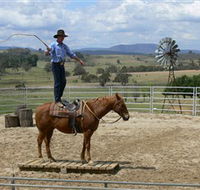 Boggy Creek Shows - Palm Beach Accommodation
