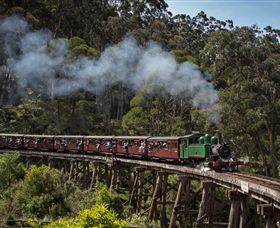 Puffing Billy Steam Railway - Palm Beach Accommodation 0