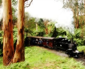 Puffing Billy Steam Railway - Palm Beach Accommodation 5