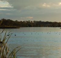 Lake Inverell Reserve - Palm Beach Accommodation