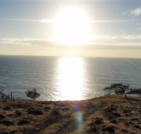 Southend Curtis Island - Palm Beach Accommodation