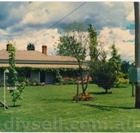 Tumut Valley Violets - Palm Beach Accommodation