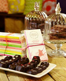 Bright Chocolate - Palm Beach Accommodation 4