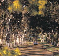 Albert Facey Heritage Trail - Palm Beach Accommodation