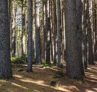 Sugarpine Walk - Palm Beach Accommodation