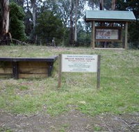 Shelley Forest Camp - Palm Beach Accommodation