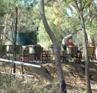 7 Oaks Sapphire Fossicking - Palm Beach Accommodation
