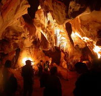 Careys Cave - Palm Beach Accommodation