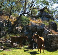 Coomba Falls - Palm Beach Accommodation